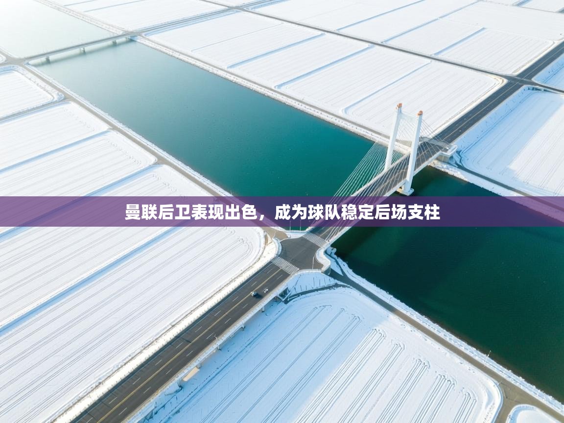 曼联后卫表现出色,成为球队稳定后场支柱 第2张